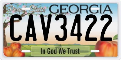 GA license plate CAV3422