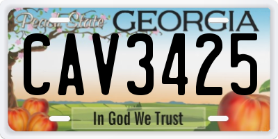GA license plate CAV3425