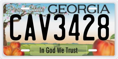 GA license plate CAV3428