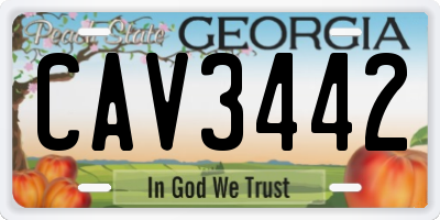 GA license plate CAV3442