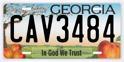 GA license plate CAV3484