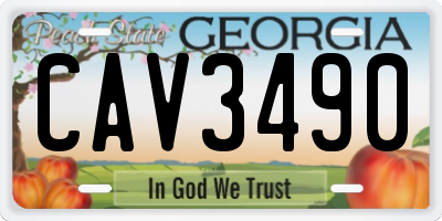 GA license plate CAV3490