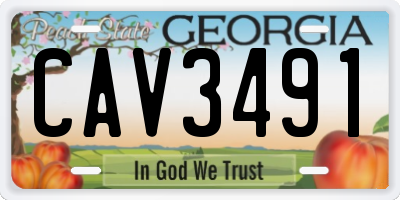 GA license plate CAV3491