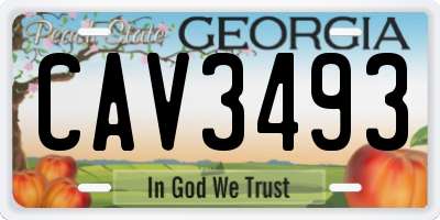 GA license plate CAV3493