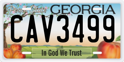GA license plate CAV3499