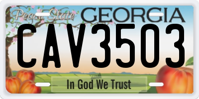 GA license plate CAV3503
