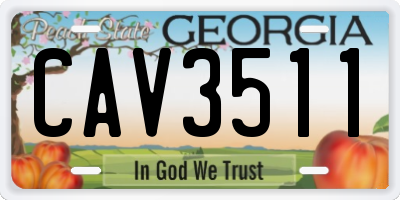 GA license plate CAV3511
