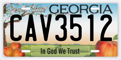 GA license plate CAV3512