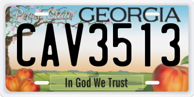 GA license plate CAV3513