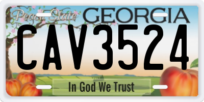 GA license plate CAV3524