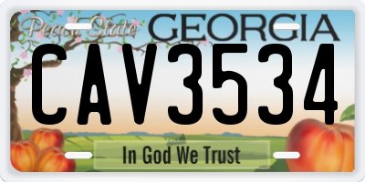 GA license plate CAV3534