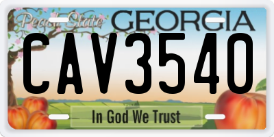 GA license plate CAV3540