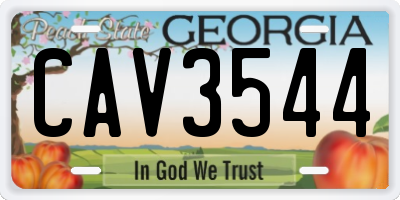 GA license plate CAV3544