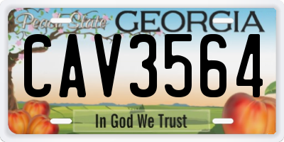 GA license plate CAV3564