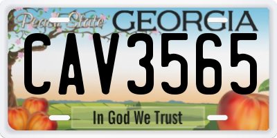 GA license plate CAV3565