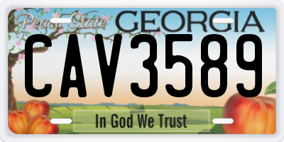 GA license plate CAV3589