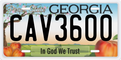 GA license plate CAV3600