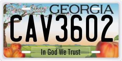 GA license plate CAV3602