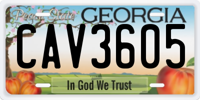 GA license plate CAV3605