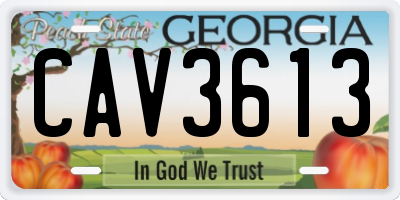 GA license plate CAV3613