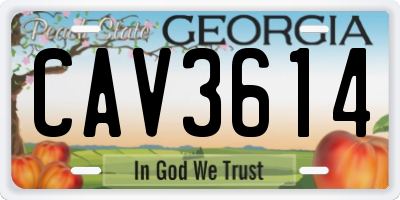 GA license plate CAV3614