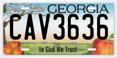 GA license plate CAV3636