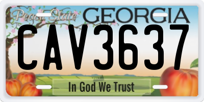 GA license plate CAV3637