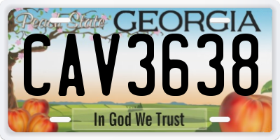 GA license plate CAV3638