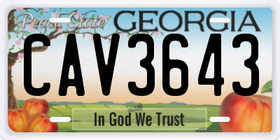GA license plate CAV3643