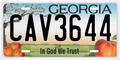 GA license plate CAV3644