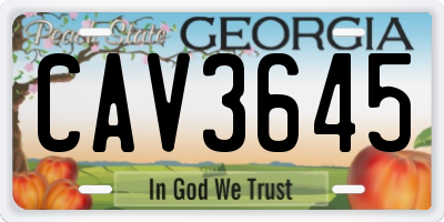 GA license plate CAV3645