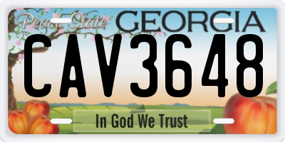 GA license plate CAV3648