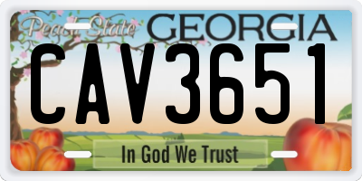 GA license plate CAV3651