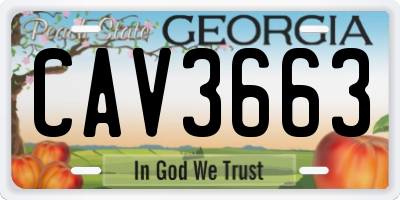 GA license plate CAV3663