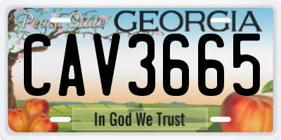 GA license plate CAV3665