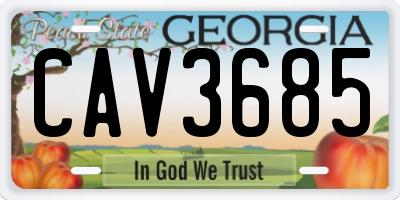 GA license plate CAV3685