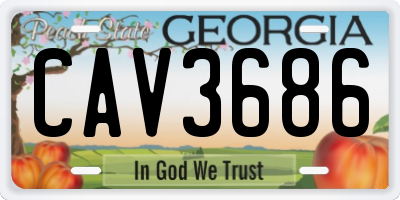 GA license plate CAV3686