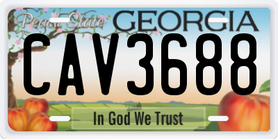 GA license plate CAV3688