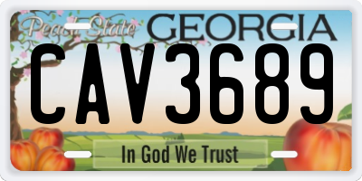 GA license plate CAV3689