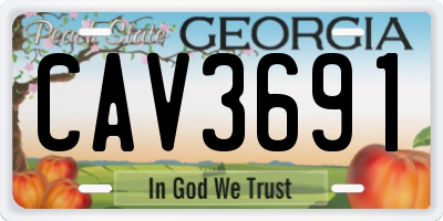 GA license plate CAV3691