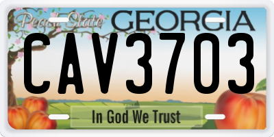 GA license plate CAV3703