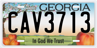 GA license plate CAV3713