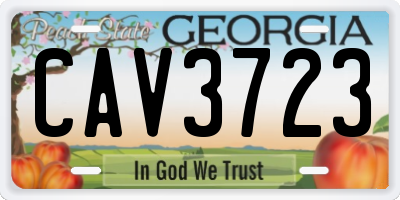 GA license plate CAV3723