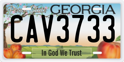 GA license plate CAV3733