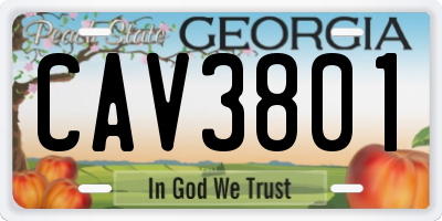 GA license plate CAV3801
