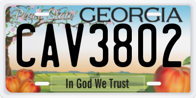 GA license plate CAV3802