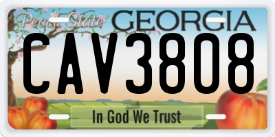 GA license plate CAV3808
