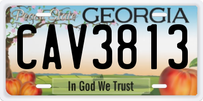 GA license plate CAV3813