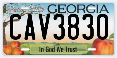 GA license plate CAV3830