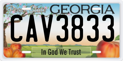 GA license plate CAV3833